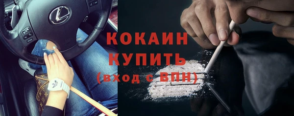 молекула духа Каменск-Шахтинский