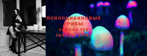 молекула духа Каменск-Шахтинский